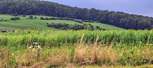 Golf Club «Willowbrook Golf Club», reviews and photos, 3267 NY-215, Cortland, NY 13045, USA