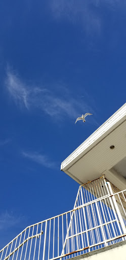 Yacht Club «Everett Yacht Club», reviews and photos, 404 14th St, Everett, WA 98201, USA