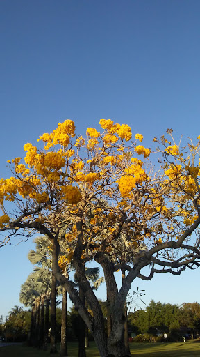 Golf Club «Miami Springs Golf & Country Club», reviews and photos, 650 Curtiss Pkwy, Miami Springs, FL 33166, USA