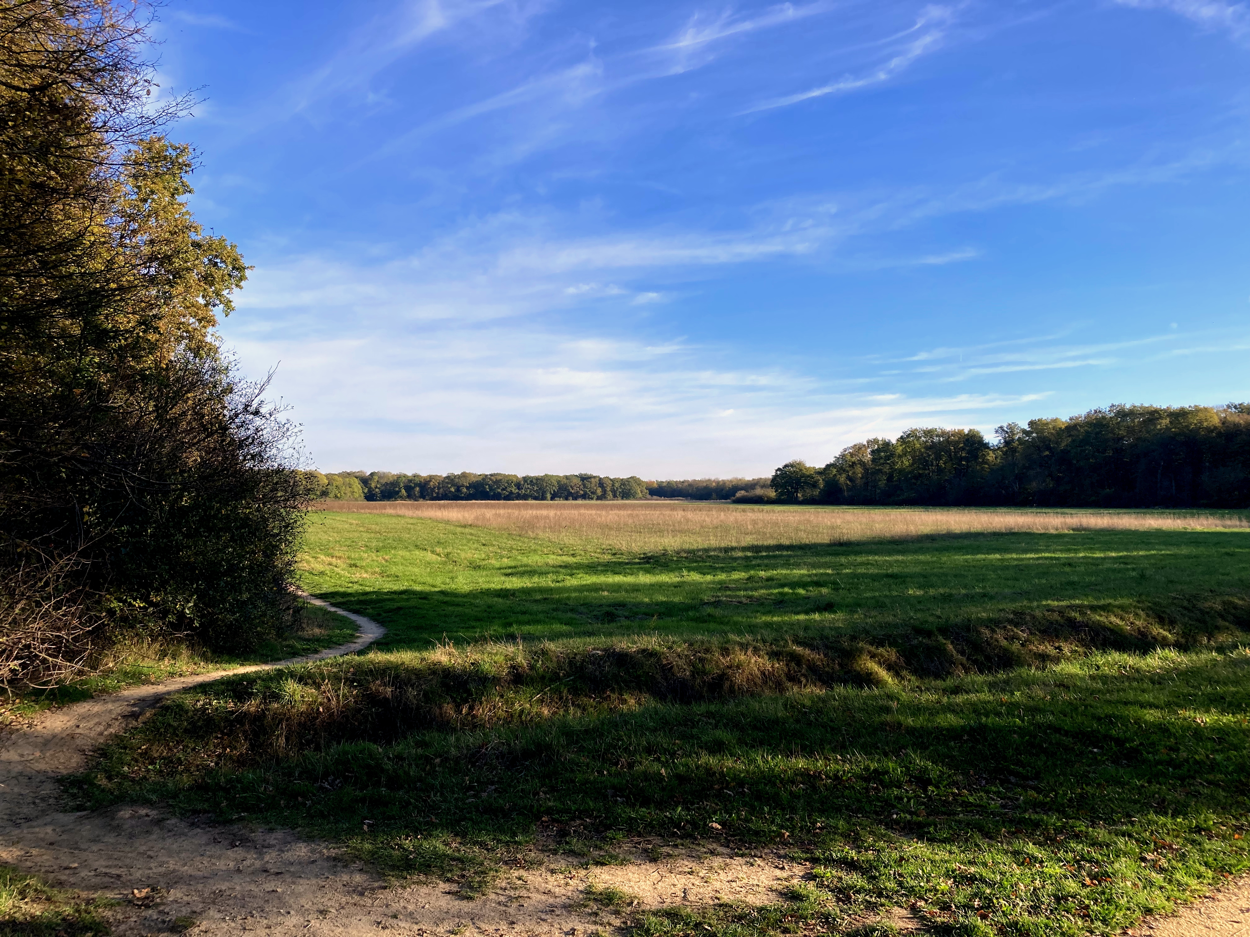 Photo n° 2 de l'avis de Guillaume.U fait le 13/11/2022 à 16:36