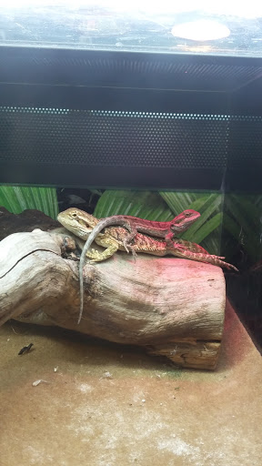 Pet Supply Store «PetSmart», reviews and photos, 1410 NE 23rd St, Pompano Beach, FL 33062, USA