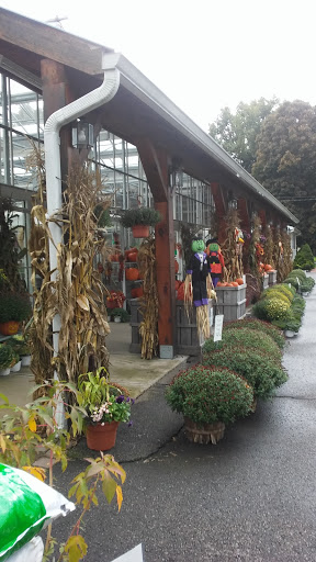 Produce Market «E Draghi & Son Farm Stand», reviews and photos, 86 Main St, South Glastonbury, CT 06073, USA