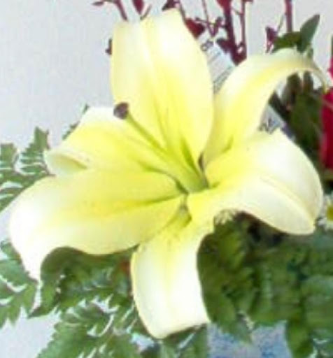 Florist «Floreria Alcatraz», reviews and photos, 159 Aldine Bender Rd #174, Houston, TX 77060, USA