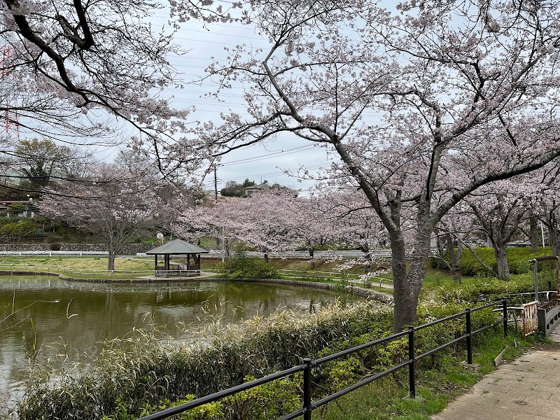 千葉市 松ヶ丘緑地