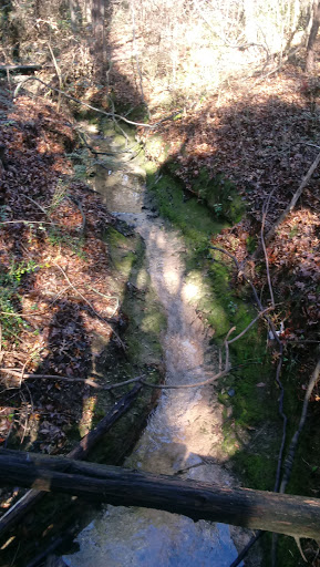 Nature Preserve «Oak Cliff Nature Preserve», reviews and photos, 2875 Pierce Street, Dallas, TX 75233, USA