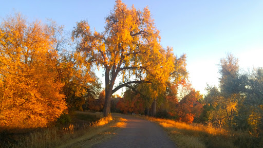 Park «Expo Park», reviews and photos, 10955 E Exposition Ave, Aurora, CO 80012, USA