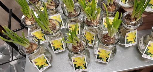 Grocery Store «Jewel-Osco», reviews and photos, 1400 21st St, Zion, IL 60099, USA