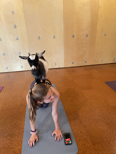 Personal Trainer «Fit Columbia», reviews and photos, 2002 Blossom St, Columbia, SC 29205, USA