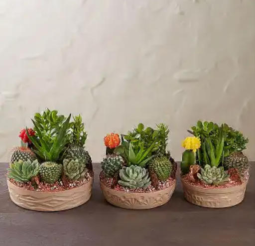 Florist «Flower Spot», reviews and photos, 4600 McGregor Blvd, Fort Myers, FL 33901, USA