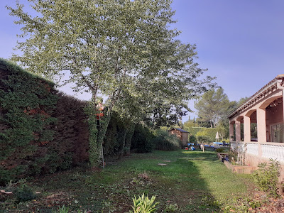 CIMES VERTES - Élagage - Abattage - Jardinage à Garéoult