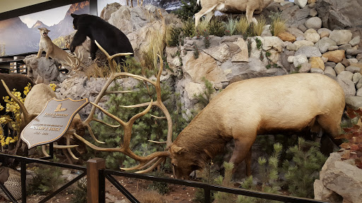 Outdoor Sports Store «Field & Stream», reviews and photos, 5215 Century Ave, Kalamazoo, MI 49006, USA