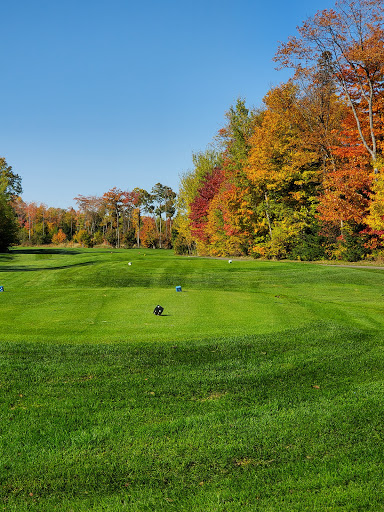 Golf Course «Wild Bluff Golf Course», reviews and photos, 11335 W Lakeshore Dr, Brimley, MI 49715, USA