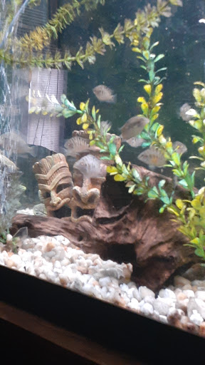 Pet Store «Precious Pets III», reviews and photos, 1091 US-130, Burlington, NJ 08016, USA