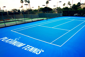 Platinum Tennis image