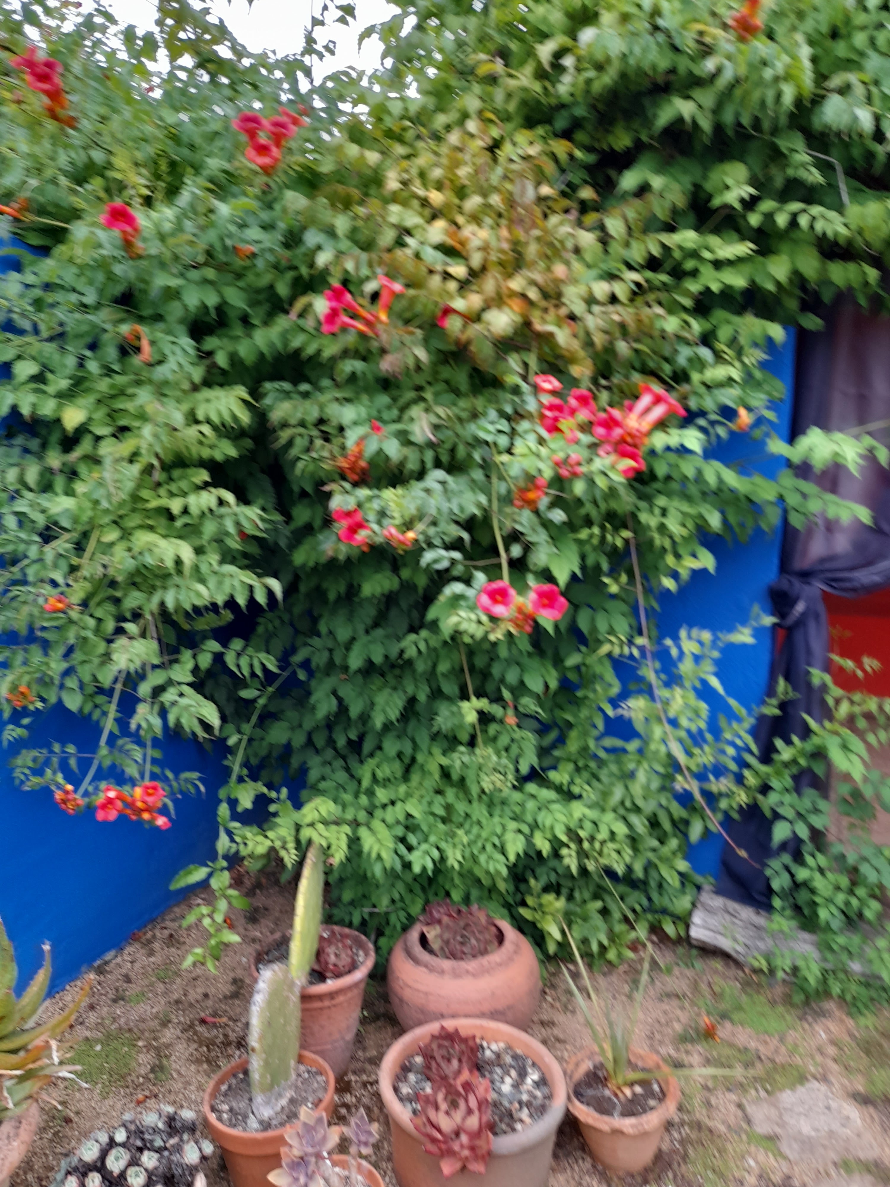 Photo n° 14 de l'avis de Sylvie.e fait le 31/07/2022 à 16:51