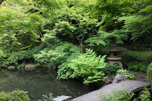 Ikedayama Park image