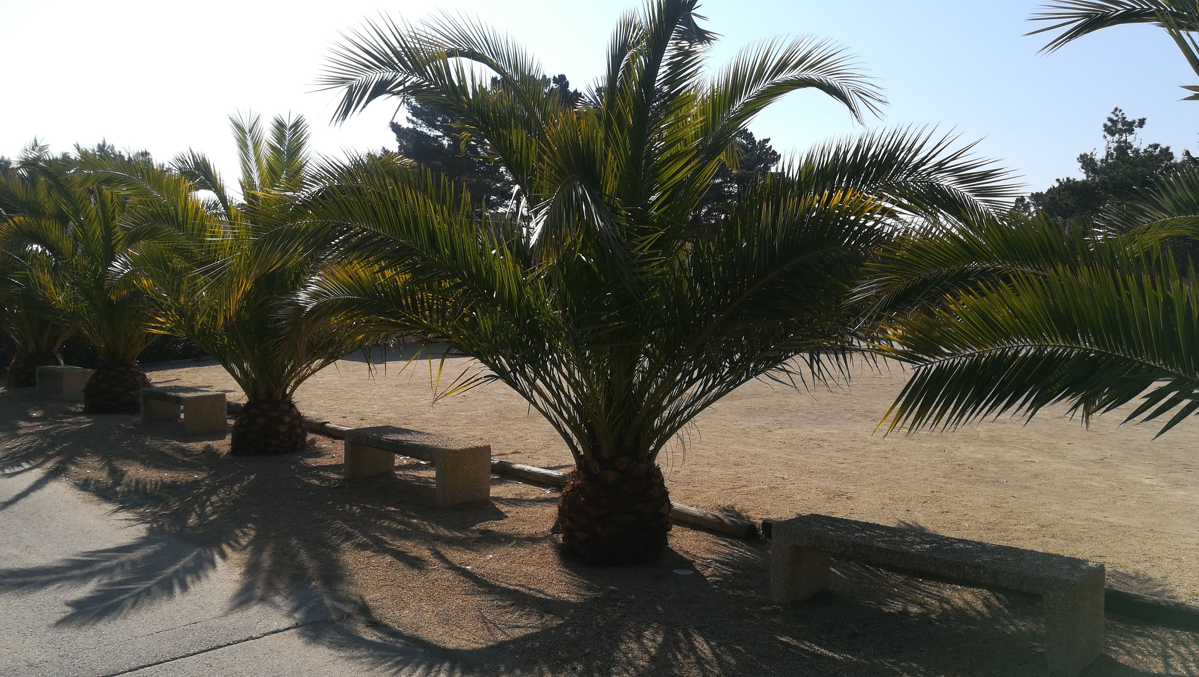 Photo n° 1 de l'avis de Yoyo.a fait le 21/04/2019 à 09:14
