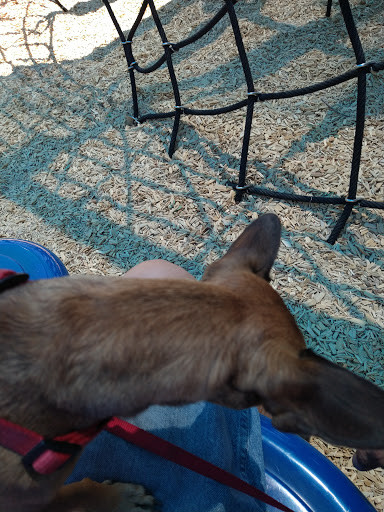 Park «Gateway Park», reviews and photos, 10100 N El Mirage Rd, El Mirage, AZ 85335, USA