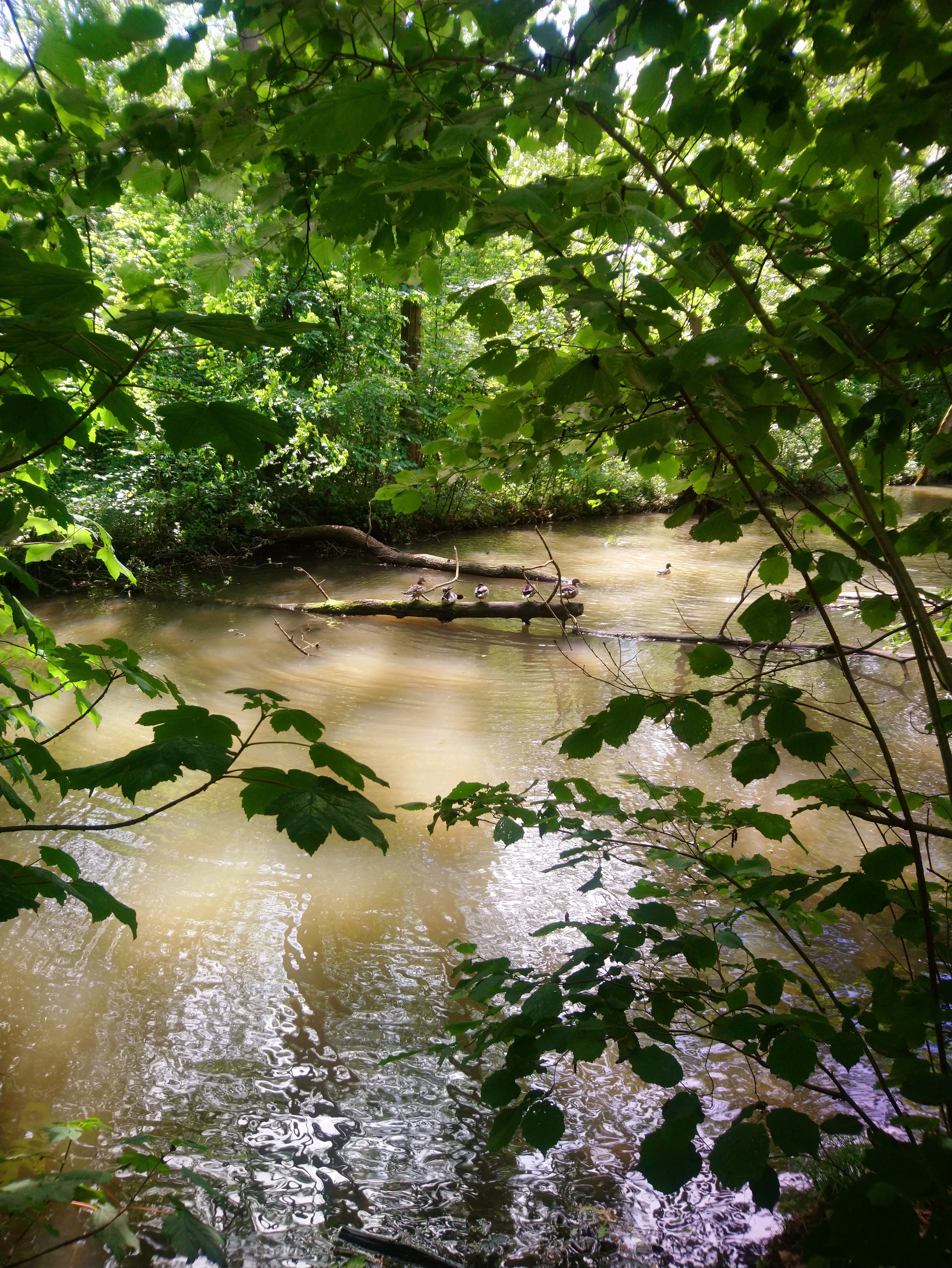 Photo n° 17 de l'avis de Lucien.e fait le 10/06/2019 à 14:26