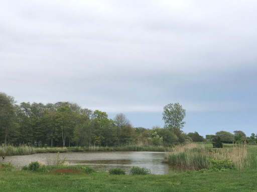 Golf Club «Bergen Point Golf Course», reviews and photos, 69 Bergen Ave, West Babylon, NY 11704, USA