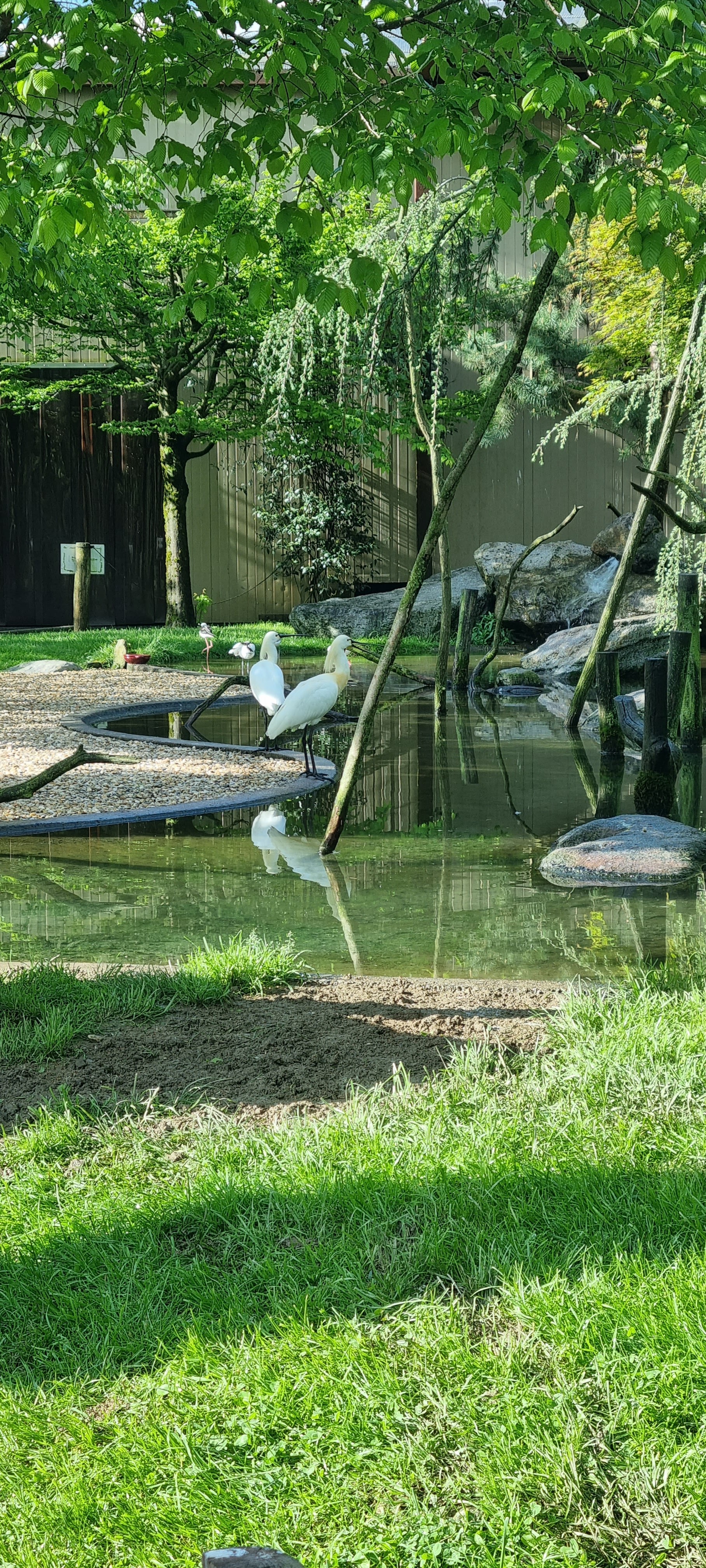 Photo n° 8 de l'avis de Anne.a fait le 25/04/2022 à 13:04