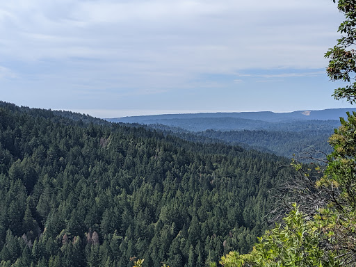 Soquel Demonstration State Forest