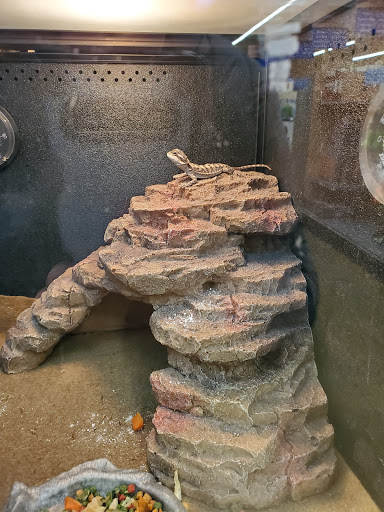 Pet Supply Store «PetSmart», reviews and photos, 132 NJ-31, Flemington, NJ 08822, USA