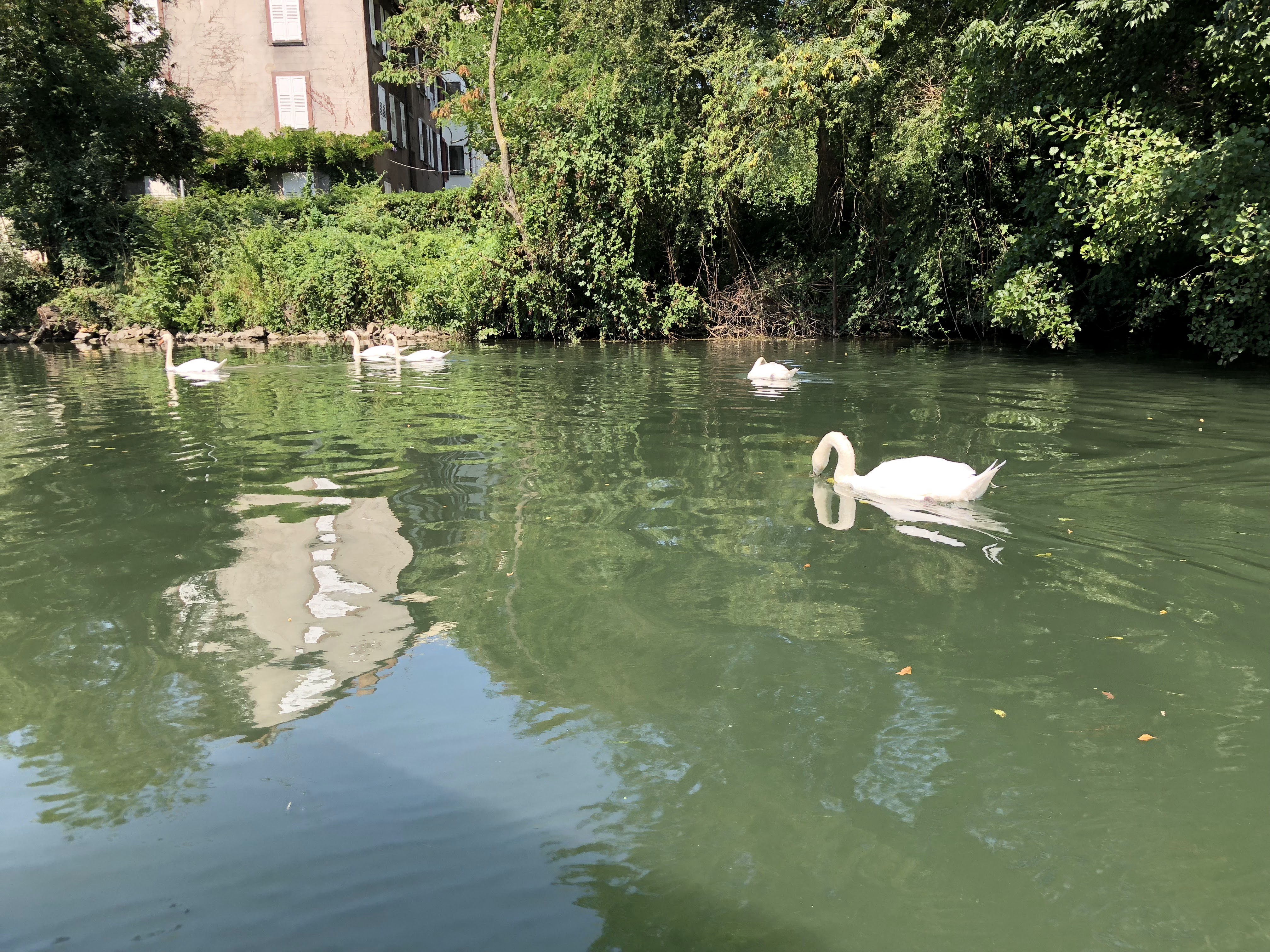 Photo n° 5 de l'avis de Stéphane.l fait le 09/08/2018 à 07:21