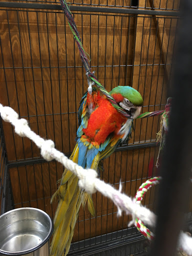 Pet Store «Lost Realms Pets», reviews and photos, 8059 N Cedar Ave, Fresno, CA 93720, USA