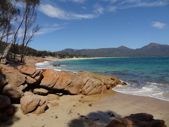 Cooks Beach