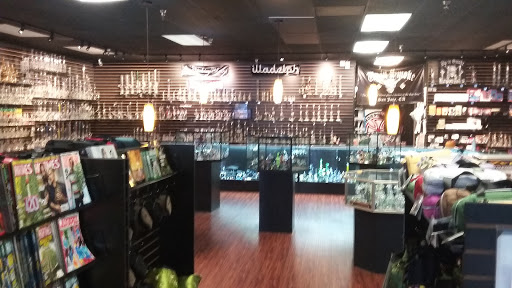 Tobacco Shop «Up in Smoke», reviews and photos, 1711 Branham Ln, San Jose, CA 95118, USA