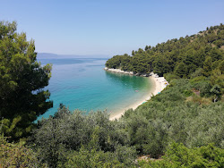 Male Ciste beach'in fotoğrafı birden fazla geniş koy ile birlikte