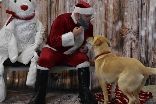 Pet Supply Store «Thomaston Feed of Cheshire», reviews and photos, 851 S Main St, Cheshire, CT 06410, USA