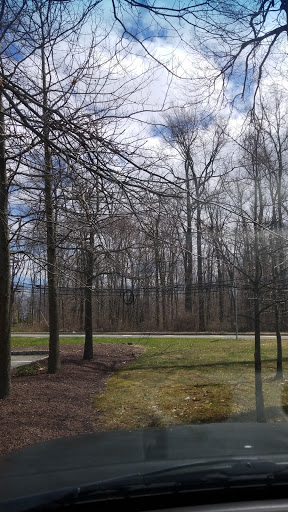 Shopping Mall «Lyons Mall», reviews and photos, 26 Lyons Mall, Basking Ridge, NJ 07920, USA