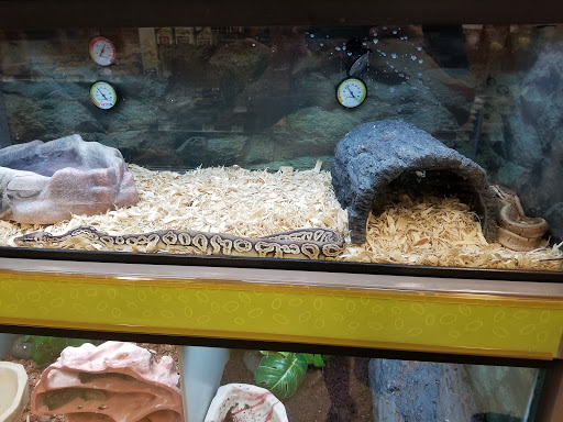 Pet Supply Store «Petco Animal Supplies», reviews and photos, 317 E Trenton Rd, Edinburg, TX 78539, USA