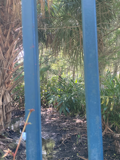 Park «Donnelly Park», reviews and photos, 530 N Donnelly St, Mt Dora, FL 32757, USA