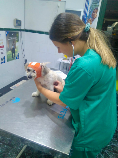 Centro Veterinario Dogo en Totana