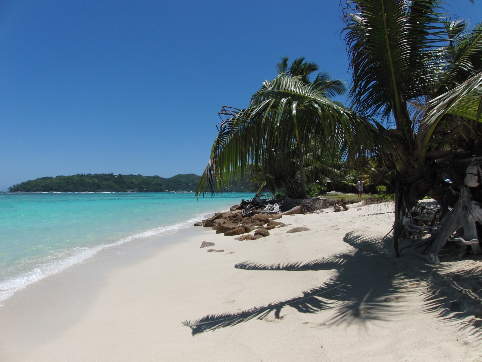 Anse La Farine Beach'in fotoğrafı çok temiz temizlik seviyesi ile