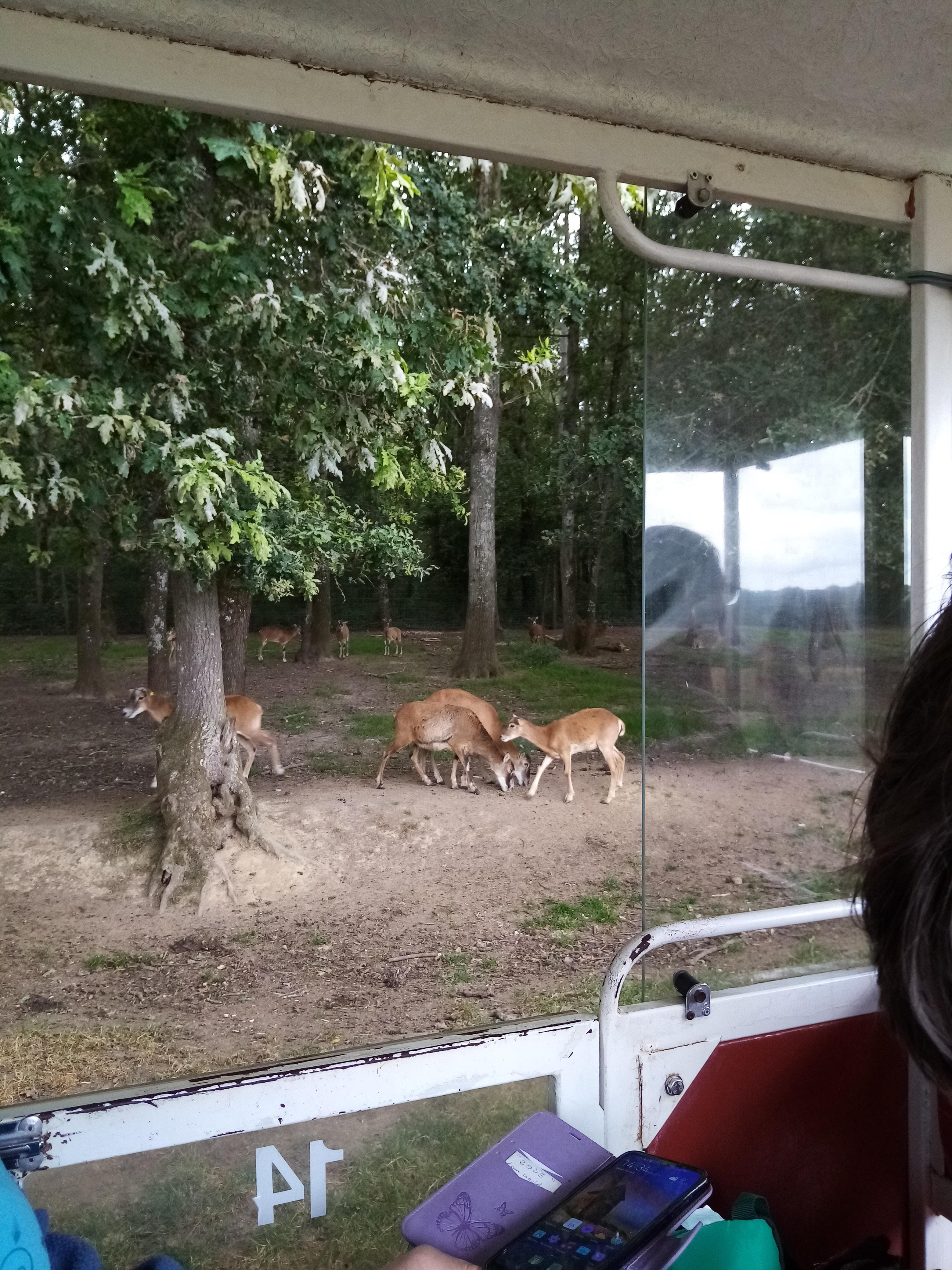 Photo n° 16 de l'avis de Aurelie.u fait le 17/08/2021 à 19:49