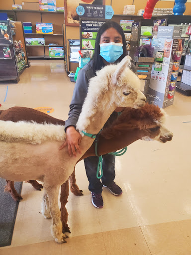 Pet Supply Store «Petco Animal Supplies», reviews and photos, 22000 Dulles Retail Plaza #110, Sterling, VA 20166, USA