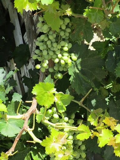 Mobile Home Park «Twin Buttes Mobile Home & RV Court», reviews and photos, 4027 N Twin Buttes Ct, Douglas, AZ 85607, USA