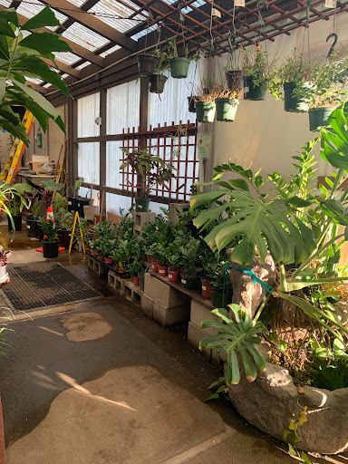 Plant Nursery «San Gabriel Nursery & Florist», reviews and photos, 632 S San Gabriel Blvd, San Gabriel, CA 91776, USA