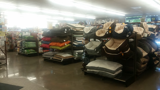 Pet Supply Store «Pet Food Express», reviews and photos, 15466 Los Gatos Blvd, Los Gatos, CA 95032, USA