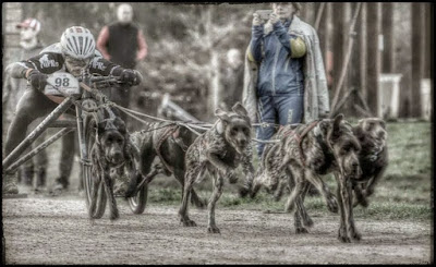 Traczer à Hostun