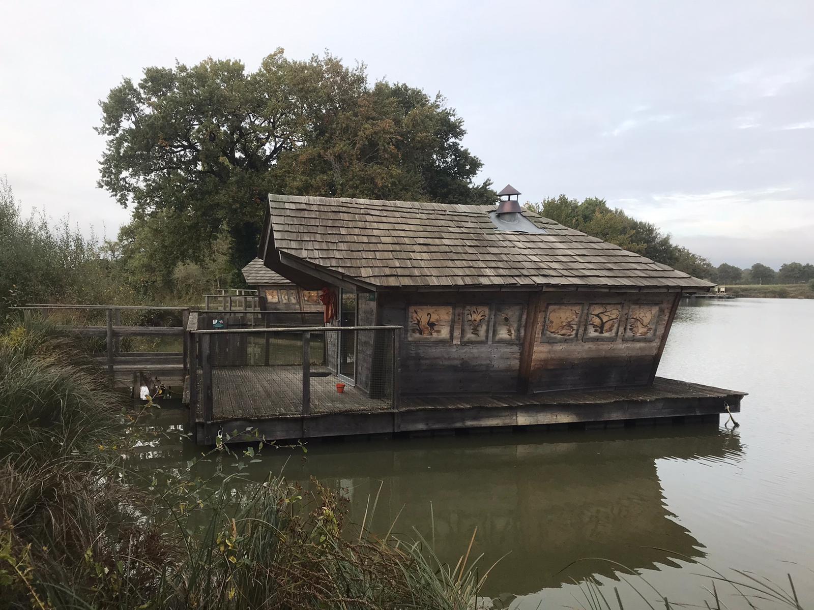 Photo n° 1 de l'avis de stedy.e fait le 05/11/2019 à 08:32