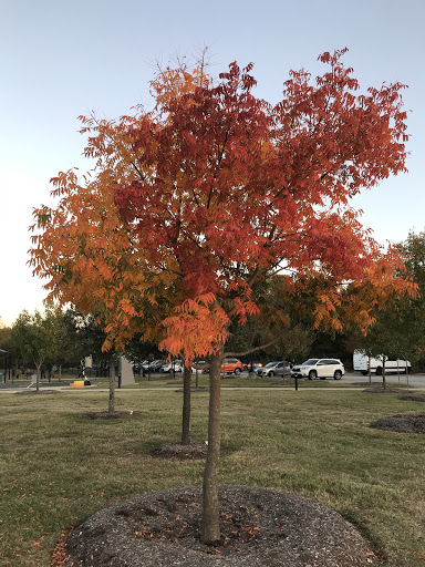 Park «Bear Creek Park», reviews and photos, 400 Bear Creek Park Rd, Keller, TX 76248, USA