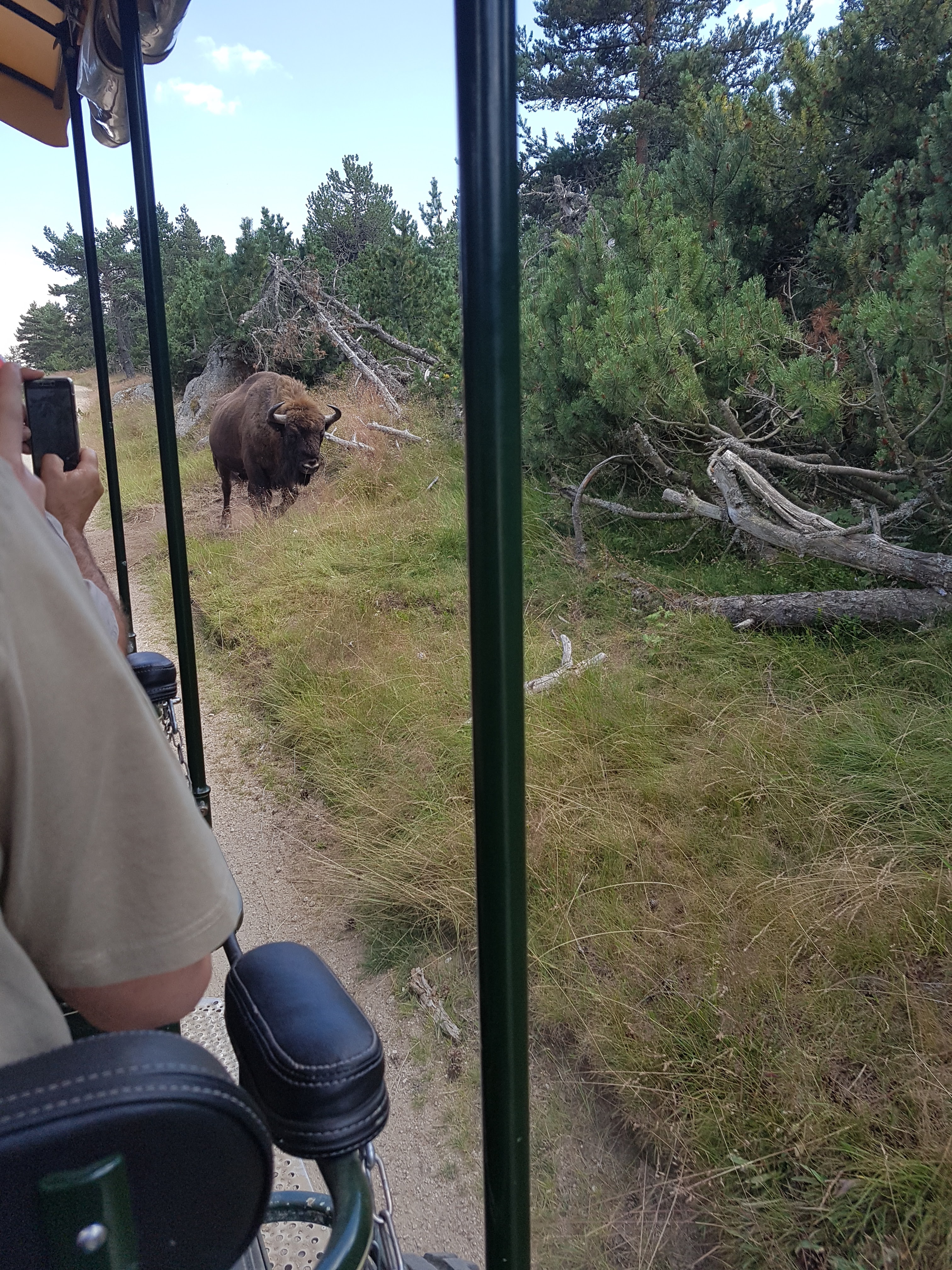 Photo n° 16 de l'avis de Mick.u fait le 26/07/2018 à 19:41