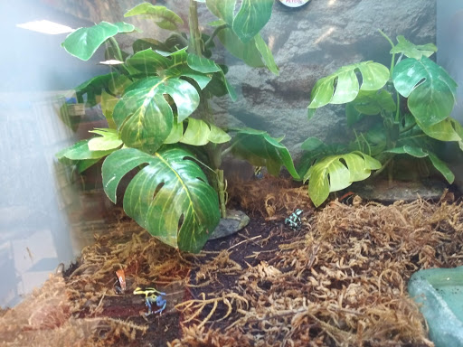 Pet Supply Store «Petco Animal Supplies», reviews and photos, 2765 Santa Rosa Ave, Santa Rosa, CA 95407, USA