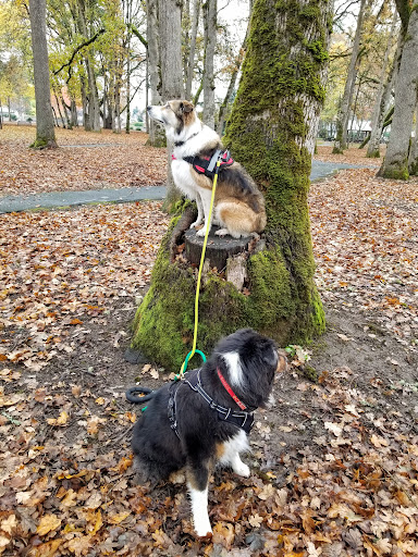 Park «Shadywood Park», reviews and photos, 535 NE 24th Ave, Hillsboro, OR 97124, USA