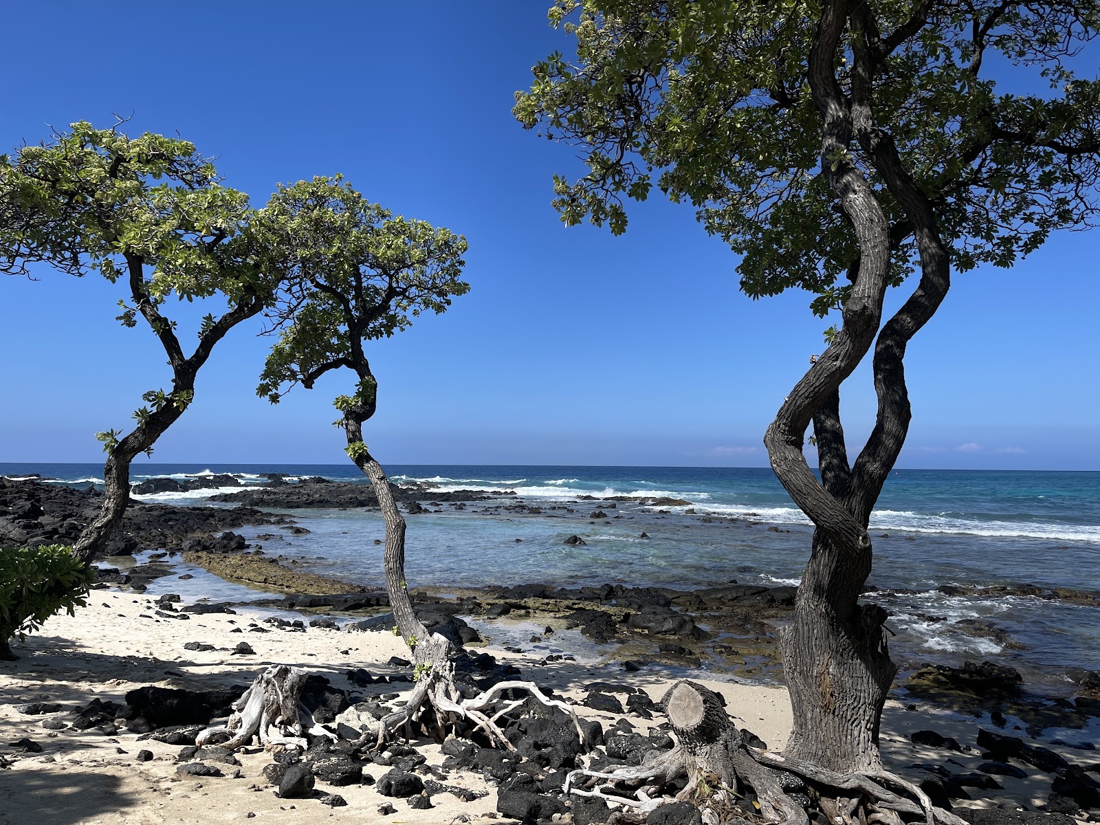 Kikaua Point Park photo #8